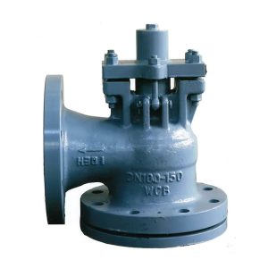 Angle Lift Check Valve