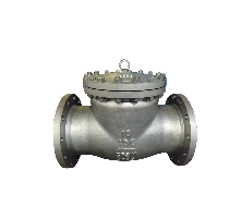 Cast Steel Flanged Check Valve